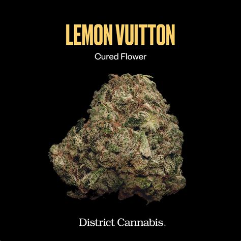 louis vuitton cannabis|lemon vuitton weed strain.